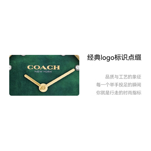 COACH CARY Series Belt Quartz Women's Watch 14503951 Recommended by Luo Yizhou New Year Gift/Gift Giving
