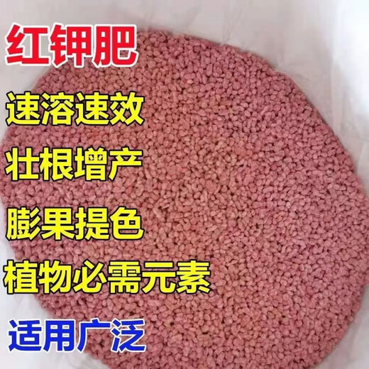 Wenshiou Potash Fertilizer Wholesale Russian Imported High Potassium High Efficiency Fertilizer General Instant Fertilizer for Agricultural Flowers, Fruit Trees and Vegetables Express 20Jin Jin is equal to 0.5kg Factory direct sales quality assurance