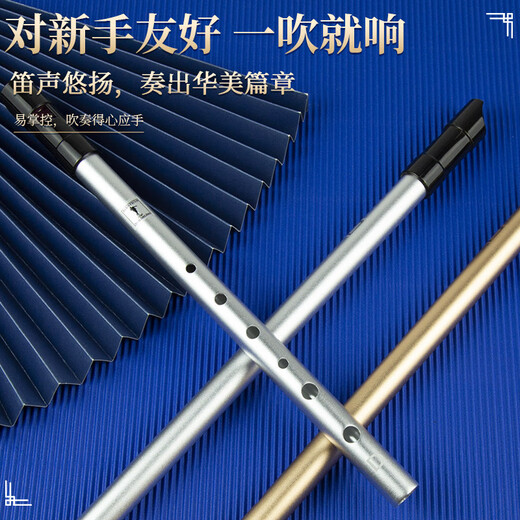 杉贝爱尔兰哨笛C调D调笛子儿童初学者高音直笛竖笛六孔乐器 演奏款C调金色+丰富