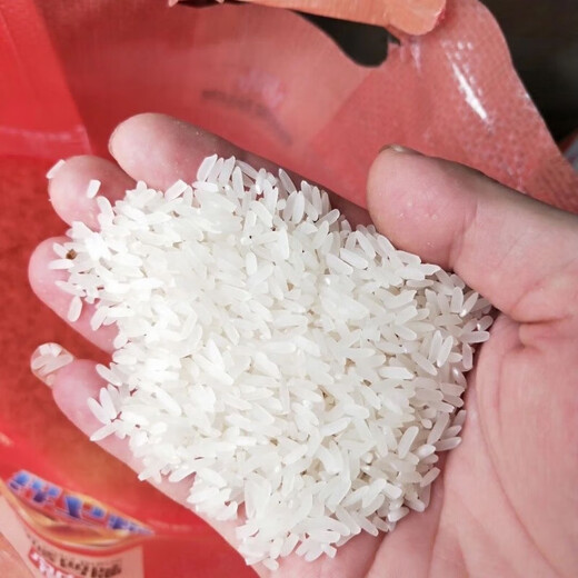 Jingliangyou 534 stable yield hybrid rice seed diamond rice national approved hybrid rice Longping rice seed original Jingliangyou 534 one bag (21000 grains) about 1 Jin Jin equals 0.5 kg