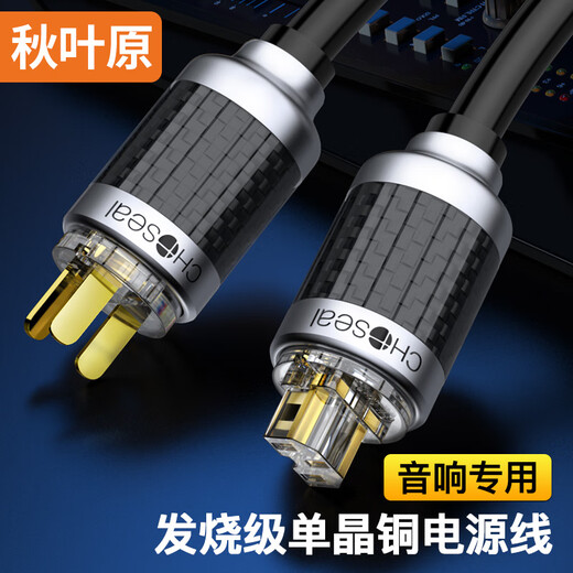 Akihabara (Choseal) Fieber-Grad Einkristall Kupfer-Audiokabel mit Nervendrahtschildschicht Anti-Interferenz HiFi Soundqualität Home Audioverstärker Audioverbindung Kabel American Standard Audio Dedicated Power Kabel QS9901 3 Meter