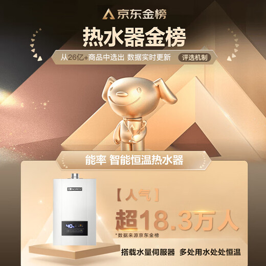 NORITZ 16-liter water servo constant temperature gas water heater E4 15% national subsidy for home appliances household forced exhaust type noise reduction silent natural gas trade-in JSQ31-E4