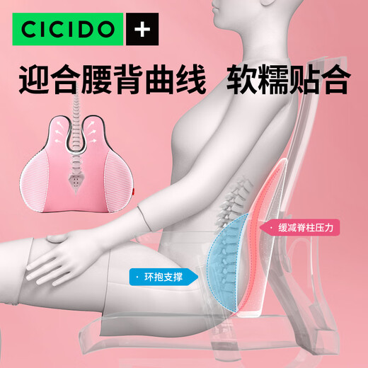 Cicido Tufei Mengjin Office Lumbar Chair for Pregnant Women to Sedentary at Work SSZ0220 Blue