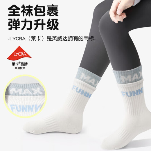 Zhiyou companion children's mid-calf socks for girls spring and autumn cotton socks autumn and winter sports yoga socks for girls boneless with shark pants stockings