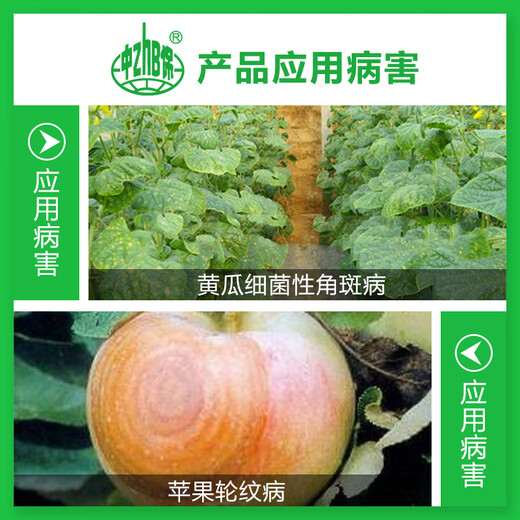 Zhongbao Zhongshengmycin Apple Tree Ring Spot Disease Cucumber Bacterial Angular Spot Disease Biopesticide Fungicide 1000g*1 Bag