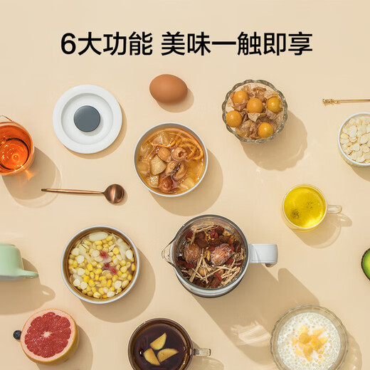 LIFE ELEMENT mini health pot, exclusive for the office, small capacity 0.6 liters, integrated thermal insulation, intelligent fully automatic constant temperature, scented tea essence brewing pot I13