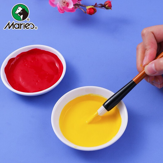 Marie s Chinese painting paint box 24 colors 5ml ink painting landscape painting beginner set student art academy professional art painting Chinese painting set 1324