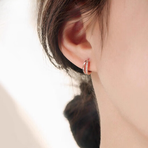 DL 1998 Fat Donglai same style 18k rose gold earrings fashionable silver needle small hoop earrings 2022 new rose gold