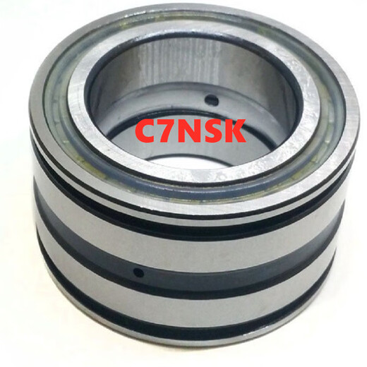 Japanische importierte Prozesslager SL04 5013 5014 5015 5018 5020-PP-2NR Volllast Roller SL04 5009-PP-2NR
