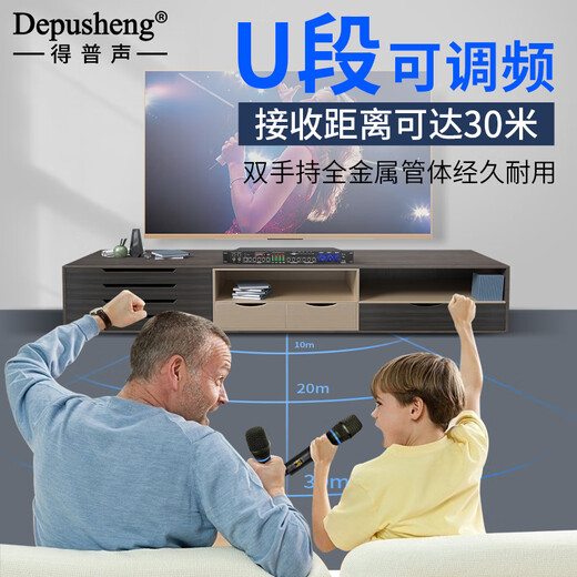 Depusheng REV3900 KTV pre-amp effector with rechargeable wireless microphone for home karaoke singing TV reverberator box commercial anti-howling audio processing USB fiber optic Bluetooth FX8 dual handheld rechargeable microphone