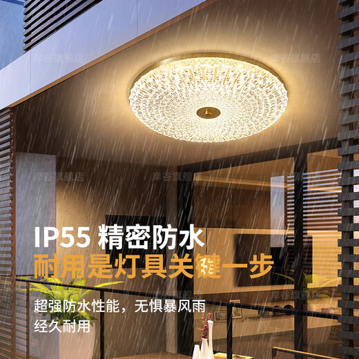 新品全铜户外吸顶灯防水防蚊虫阳台灯别墅入户门超薄过道灯露台庭 X3895/40CM/三色可调
