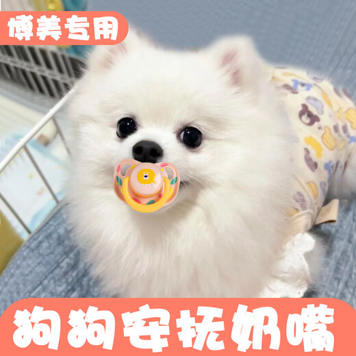 Haiyiduo pet silicone pacifier anti-colic night use flat head simulated breast milk sleeping type cat and dog cartoon pacifier pacifier random color