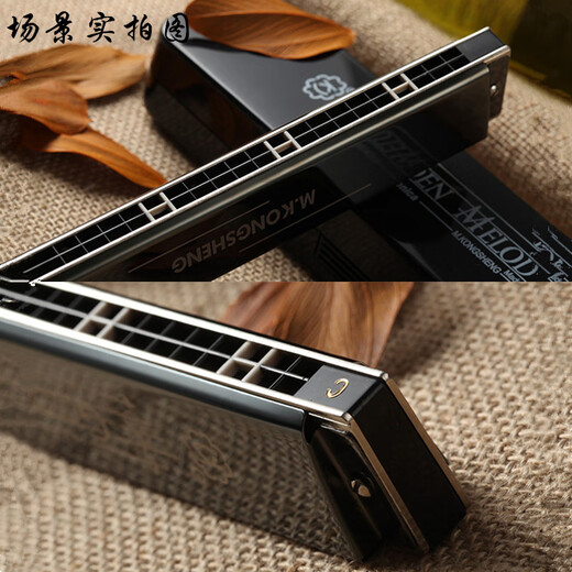 Hokong Sound Harmonic 24 Hokong Polyphonic #A/B/C/D/E/F/G Гармоника для начинающих.