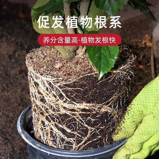 Huameinuo Nutrient Soil is a special universal vegetable potting soil for flower cultivation. Planting soil, flower soil and succulent soil fertilizer is for home use. Original formula nutrient soil 40Jin Jin is equal to 0.5kg (nourishes roots and promotes flowers).