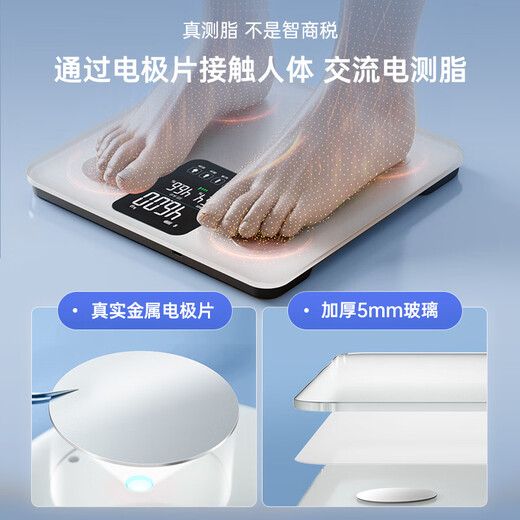 香山 智能体脂秤精准体重秤 大屏显示【Type-C充电款】 电子秤人体家用秤体脂称重 22项核心数据 云汐
