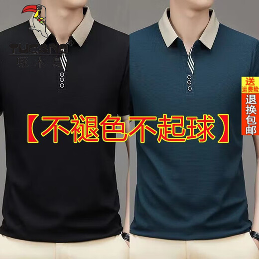 Woodpecker Offizielles High-End-Herren-Kurzarm-T-Shirt-Revers 2025 Frühlings- und Sommer-Neugeschäfts-Casos-Polo-Basishirt, 0:23] 9902 Camel + Peacock Blue L [Vorgeschlagen 129jin [Jin gleich 0,5 kg]]]