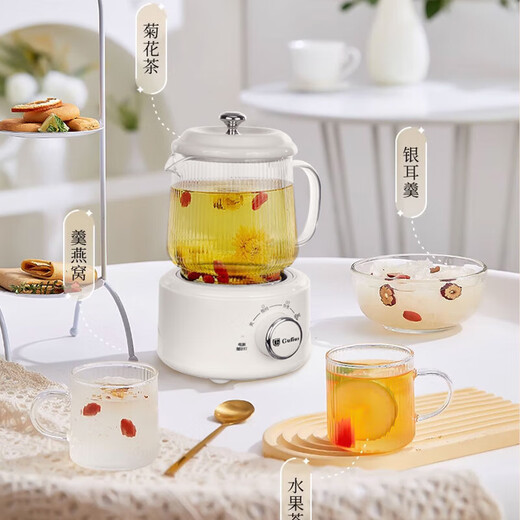 古菲斯（GUFIUS）多功能养生壶 煮茶壶 玻璃茶壶 智能保温烧水壶 电热水壶 养生杯 GFYB-1105 白色0.6L 养生壶