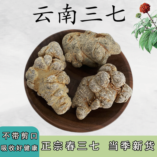 磊祥庄  三七云南文山春三七头无剪口田七 【40头500克-无剪口】