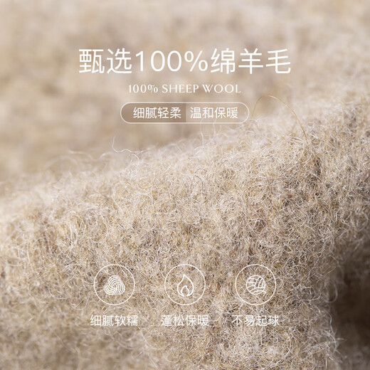 Siggi Hat Women's Autumn and Winter Versatile Sheep Wool Beret Fashion Simple Painter Hat Mocha Brown