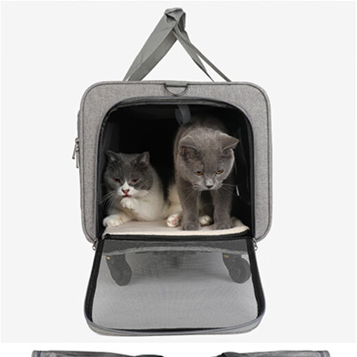 Bolso Trolley para Mascotas Extra Grande con Estampado de Cola, Bolso para Gatos, Bolso para Perros, Maleta portátil para Mascotas, Cochecito para Mascotas Desmontable KB05 Gris Claro 60*39*43