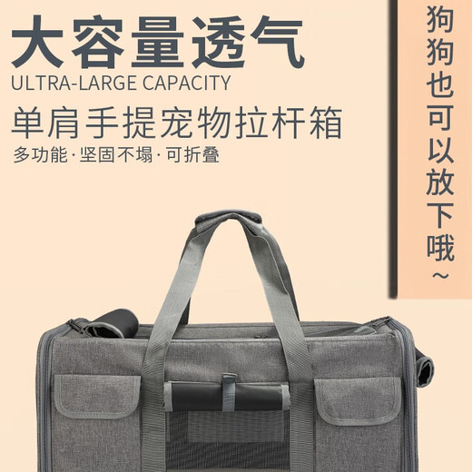 Bolso Trolley para Mascotas Extra Grande con Estampado de Cola, Bolso para Gatos, Bolso para Perros, Maleta portátil para Mascotas, Cochecito para Mascotas Desmontable KB05 Gris Claro 60*39*43