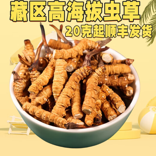 正宗藏区高海拔冬虫夏草断草整肉节10克大瓶装自用家庭装干货正品 西藏那曲精品整肉节5克