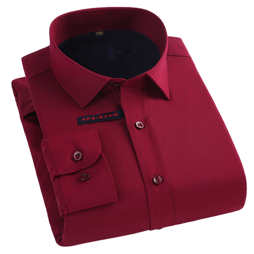 ROMON warm shirt men's fleece shirt no-iron business casual long-sleeved thickened business solid color top for young and middle-aged people ZL26 purple 41