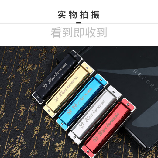 雁鹏丽声高档初学者十二孔树脂格布鲁斯口琴低音加faLa 12孔 红色 C调（初学者专用）