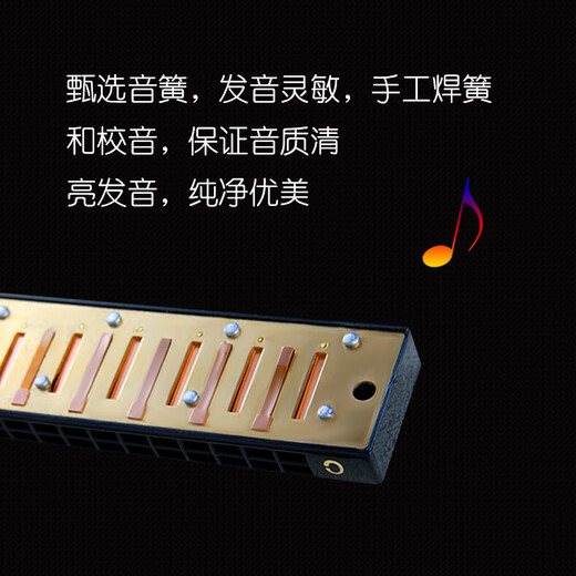 FEIFAN24孔金属c调复音口琴儿童口琴学生初学者成人乐器 黑色