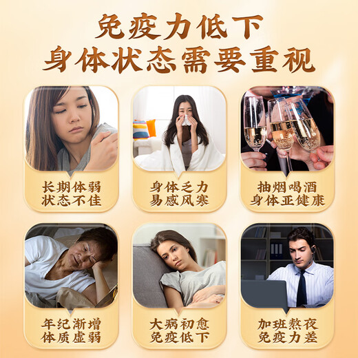 Peking Tongrentang Ganoderma Lucidum Spore Pulver verstärkt die Immunität, Jujube Samen Breaking Wall Health Products 40G Dragon Boot Festival Geschenkbox