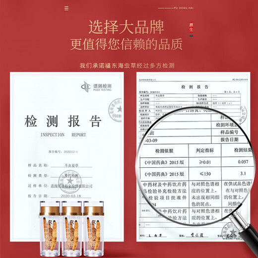 Fudonghai Cordyceps sinensis 8G Geschenkbox (hochwertige alle Insekten) Geschenk Qinghai hochwertiges, praller und trockenfreies Gras