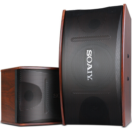 Sony Ericsson (soaiy) home KTV audio set conference audio KTV amplifier machine karaoke machine all-in-one stage audio 6.5 inch set