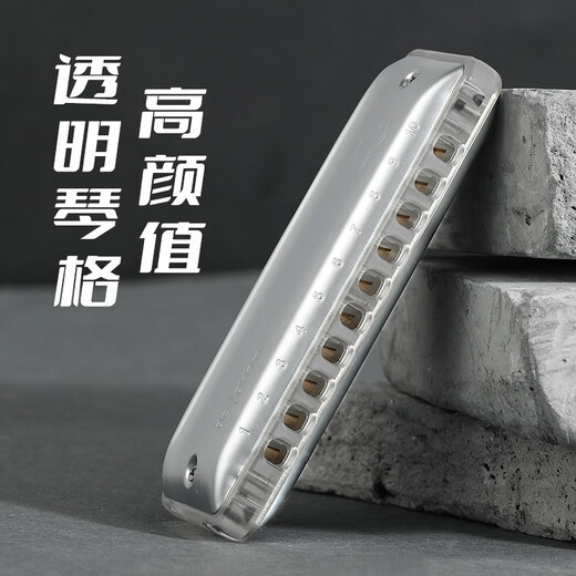 BoogieMAN [Same Model in Yuanyuan] Dolphin PADDY harmonica ten holes blues adult professional beginner blues 10 holes