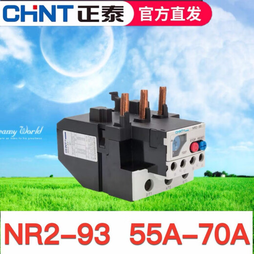 Chint Thermal Overload Relay Temperature Overload Protector NR2-25/Z Pin Type Thermal Relay CJX2 with NR2-93/Z 55-70A