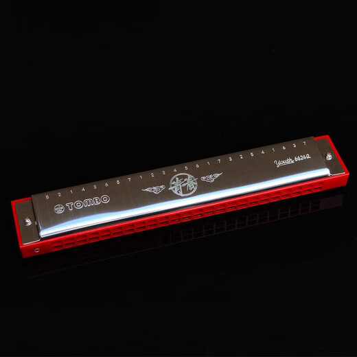 Tongbao 24-Loch Polyphonische Mundharmonika C-Melodie für Erwachsene, Grundschüler, Anfänger, Mundharmonica Instrument 6624Q mit phonetischen Symbol #f (Flut) Melodie mit eigenem phonetischen Symbol