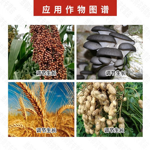 Guoguang Youfeng triacontanol bud-promoting citrus cotton peanut tomato rice tea tree corn growth regulator 200ml