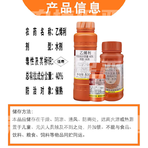 Guoguang 40% ethephon ripening agent tomato cotton persimmon rice banana mango rubber tree ripening and yield increasing regulator 500g (20 bottles 1 box)