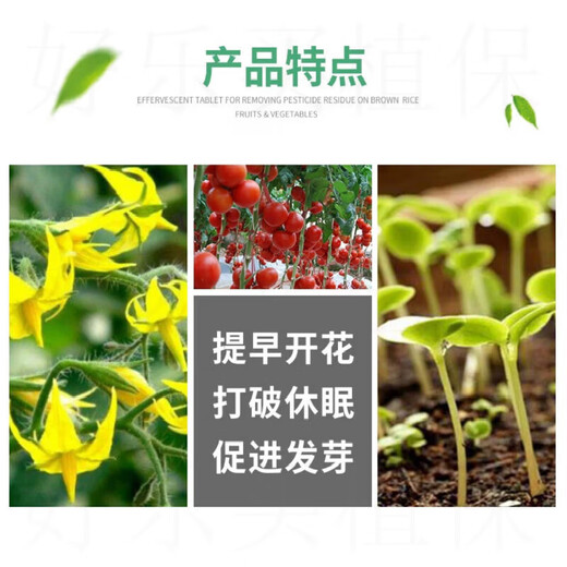 Aiduo Recovery Sodium Nitrophenolate Tomato Flower and Fruit Coloring Promotes Flowering, Budding and Rooting Antidote for Pesticide Harmful Pesticides Plant Growth Regulator 50ml (80 bottles 1 box)