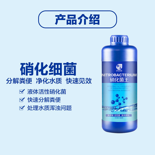 Crazy Stone Fish Tank Aquarium Water Purification Aquarium Water Quality Clearing Agent Clearing Agent Removes Fish Smelling No Troubles [Set Seven] 80% of the people