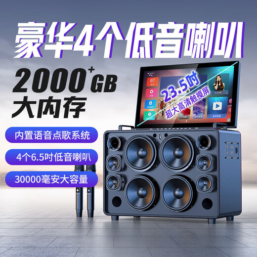 Shanshui C10 Amplifier Audio All-in-One 2025 New Home KTV Lautsprecher Set Outdoor Audio Karaoke Special Karaoke Equipment High Power Square Dance Audio mit Display Shanshui C10 Flaggschiffversion