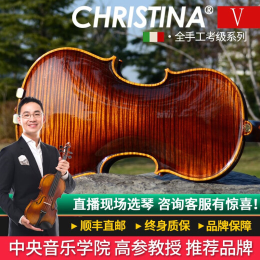 克莉丝蒂娜（Christina） V08C小提琴专业考级进阶手工实木独板演奏成人学生儿童初学入门 1/2身高130cm以上