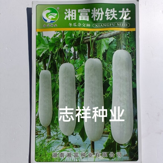 Xingshu Fen Dilong White-skinned Winter Melon Seeds Pink-skinned Winter Melon Extra Large Winter Melon Weight 50 Jin Jin is equal to 0.5 kg 1 meter long Base Xingshu Fen Dilong Winter Melon 10g One pack