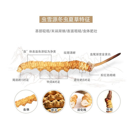 鹿章堂正宗冬虫夏草精品虫草断草正宗大断虫草干货买10条送1条散装正宗 西藏那曲3条1克正宗冬虫夏草（1条装）