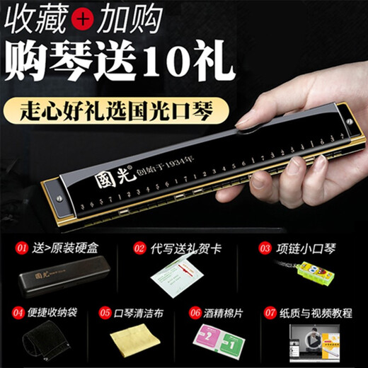 Guoguang harmonique à 24 trous Polyphonique C-Tune débutants et enfants Introducteurs Adultes 24-Hole Stress Professional Instrument Instrument Polyphonic Blue + Hole Blue + Tutoriel