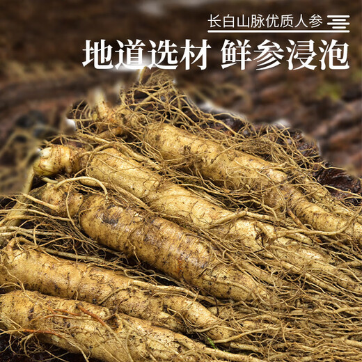林宝仙珍 长白山人参酒150ml*6杯 人参酒52度茶杯酒节日年货送礼养生酒