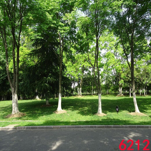 CLCEY网红主播直播背景布抖音快手拍视频段子3d立体背景墙夜景风景外景 6187 1.5米宽2米高