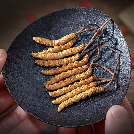 
QOMO Tibet Nagqu Cordyceps sinensis High-altitude Dried Cordyceps Wild Cordyceps Natural Growth Nagqu Cordyceps Gift Box Gift Box Gift Box Gift Box 3-4 Rods/g 10g (35-40 Rods)