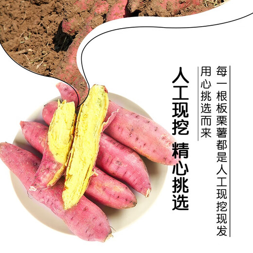 Kangtianhui Shaanxi Chestnut, Sweet Potato, Seasonal Fresh Vegetables, Fresh Naturally Cooked Sweet Potatoes, Fruits and Vegetables, Whole Box 5 Jin Jin equals 0.5 kg, Pink and sweet, Thumb Sweet Potato Net 4.5 Jin Jin equals 0.5 kg + Fresh