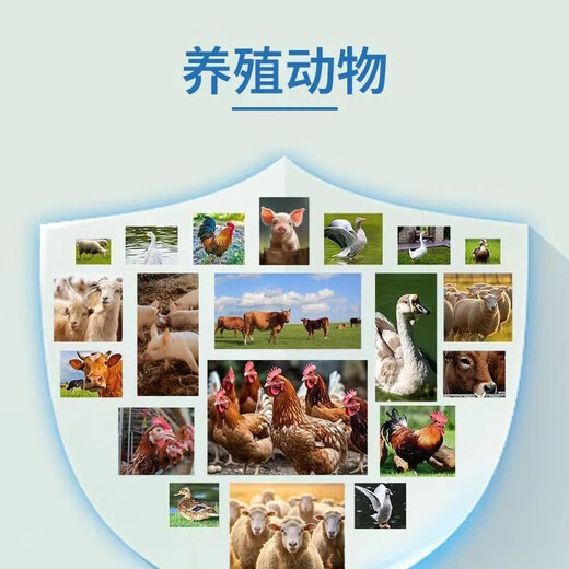 Xiongmu multi-potent calcium for veterinary use, special calcium supplement for poultry, pigs, cattle and sheep, high calcium to promote growth, nutrition and bone strengthening, feed additive multi-potent calcium 2 bags