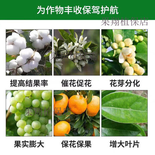 Guoguang Dingyue 3% gibberellic acid grape citrus fruit tree improves fruit setting rate cell division plant growth regulator 100ml